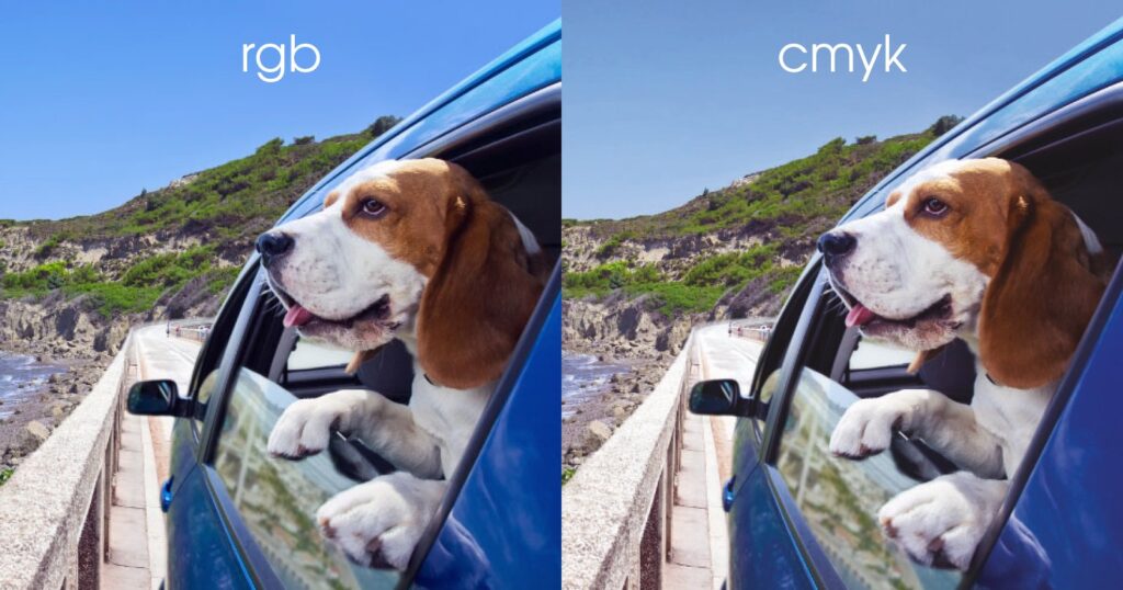 Photo of a dog with its head out the window of a car 1 version is RGB in colour the other is CMYK